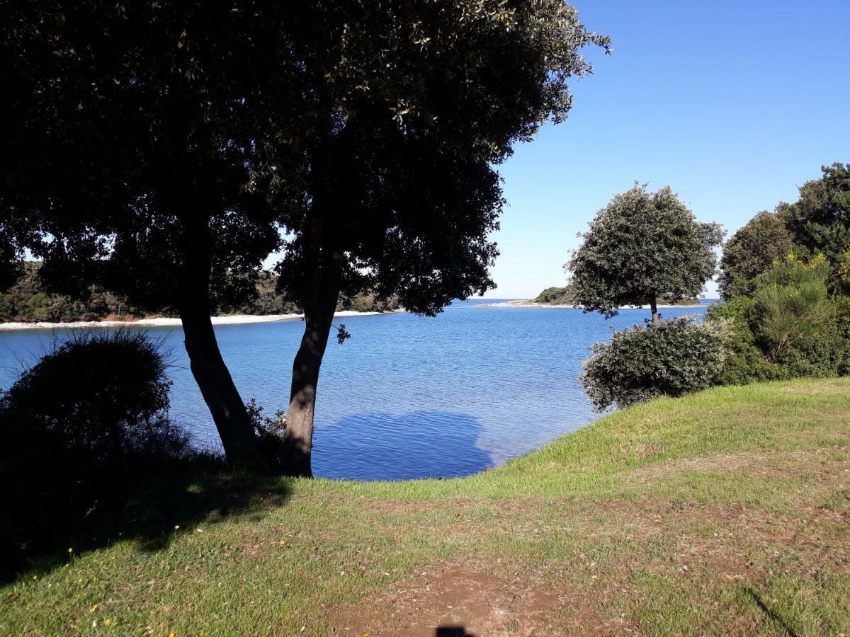 מלון באניולה Grand Veles Camp מראה חיצוני תמונה